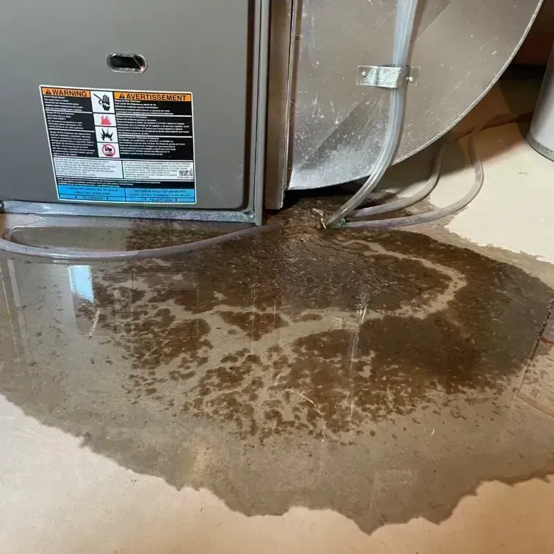 Appliance Leak Cleanup in Des Peres, MO